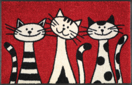 Wycieraczka czerwona koty Three-Cats 50x75cm