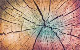 mata wycieraczka drewno kolorowe Wood Land 110x175cm